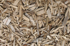 biomass boilers Chittoe